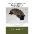 Irish Wolfhound From Puppy to Adult: A Basic Guide to Understanding This Giant Breed - Paperback