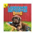 Labrador Retriever Puppies - Paperback