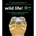 Wild Life!: A Look at Nature's Odd Ducks, Underfrogs, and Other At-Risk Species - Hardcover