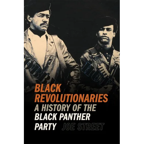 Black Revolutionaries: A History of the Black Panther Party - Paperback