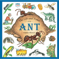 The Life and Times of the Ant - Paperback