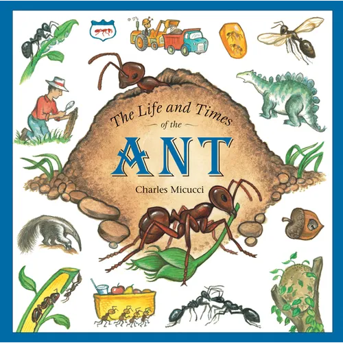 The Life and Times of the Ant - Paperback