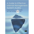 Guide to Effective Internal Management System Audits (A) - Paperback