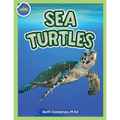 Sea Turtles Activity Workbook ages 4-8 - Paperback