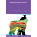 Sheepadoodle Activities Sheepadoodle Tricks, Games & Agility Includes: Sheepadoodle Beginner to Advanced Tricks, Fun Games, Agility and More - Paperback