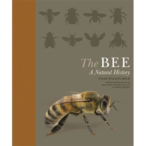 The Bee: A Natural History - Paperback