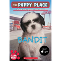 The Puppy Place #24: Bandit: Volume 24 - Paperback