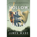 Hollow Out the Dark - Hardcover