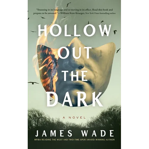 Hollow Out the Dark - Hardcover