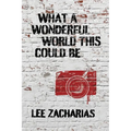 What a Wonderful World This Could Be - Paperback
