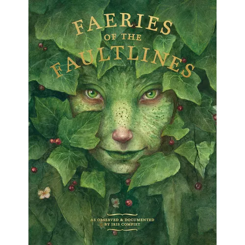 Faeries of the Faultlines: Expanded, Edited Edition - Hardcover