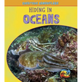 Hiding in Oceans - Paperback