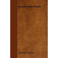 Insectivorous Plants - Paperback