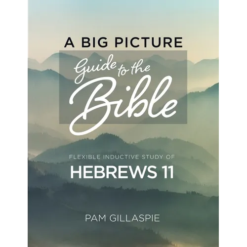A Big Picture Guide to the Bible: A Flexible Inductive Study of Hebrews 11 - Paperback