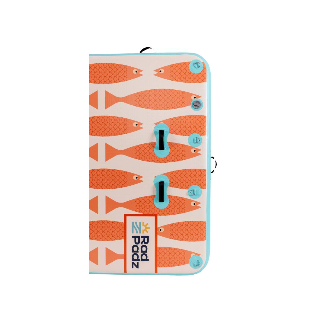 Cannonballer | Fish