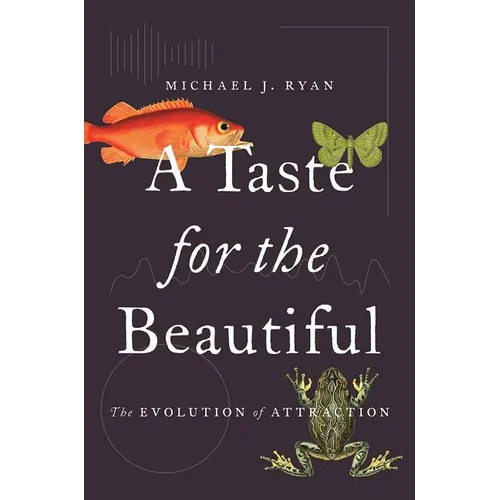 A Taste for the Beautiful: The Evolution of Attraction - Paperback