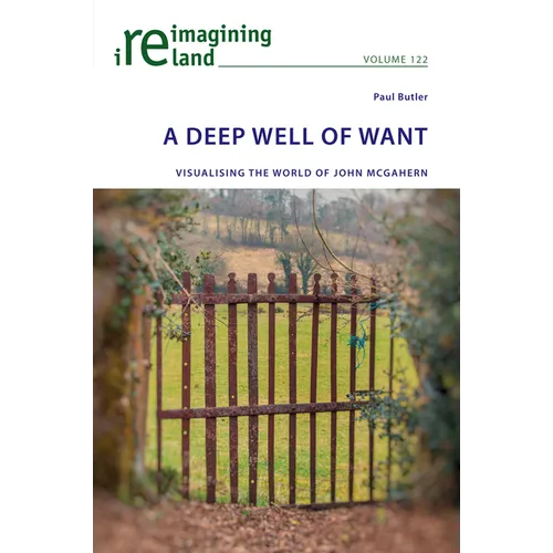 A Deep Well of Want: Visualising the World of John McGahern - Paperback