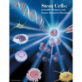 Stem Cells: Scientific Progress and Future Research Directions - Paperback