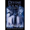 Divine Solace: A Nature of Desire Series Novel - Paperback