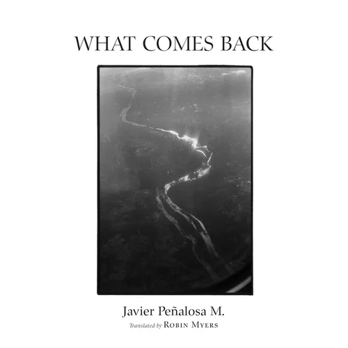 What Comes Back - Paperback