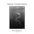 What Comes Back - Paperback