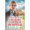 A New Doctor at Orchard Cottage Hospital - Paperback