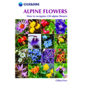 Alpine Flowers: How to Recognize Over 200 Alpine Flowers - Paperback