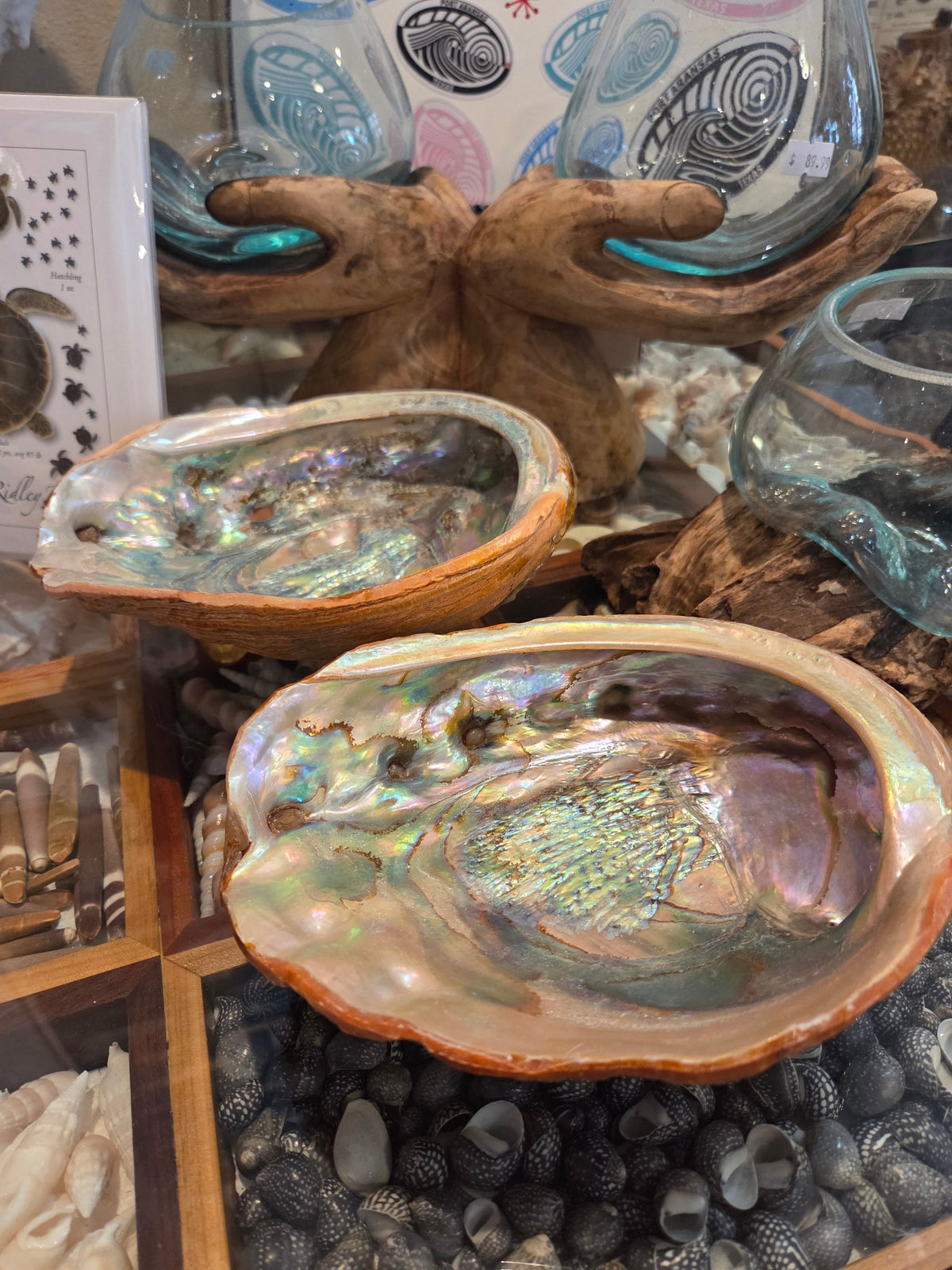 Vintage Red abalone shell footed dish