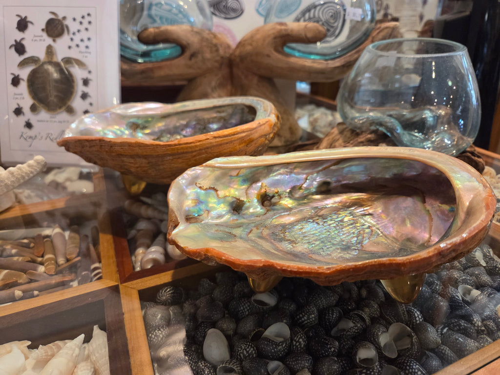 Vintage Red abalone shell footed dish