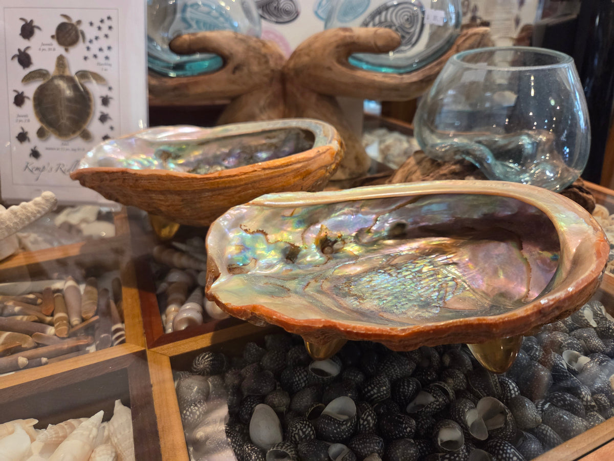 Vintage Red abalone shell footed dish