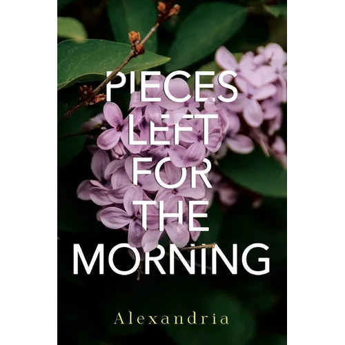 Pieces Left for the Morning - Paperback