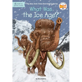 What Was the Ice Age? - Paperback
