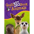 God's Big Book of Animals - Hardcover