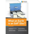 What on Earth is an SAP IDoc? - Paperback