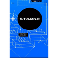 S.T.R.O.K.E: The Ultimate Blueprint For Penetration Orgasms - Paperback