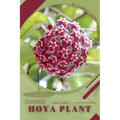 Hoya plant: Plant Guide - Paperback