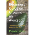 Beginners Guide on Growing an Avocado: Determining the Suitable Variety of Avocado - Paperback