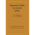 Quantum Fields in Curved Space - Paperback