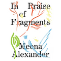 In Praise of Fragments - Paperback