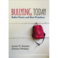 Bullying Today: Bullet Points and Best Practices - Paperback