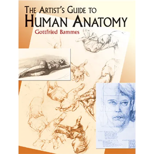 The Artist's Guide to Human Anatomy - Paperback