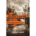 The Gangs of New York: An Informal History of the Underworld - Paperback