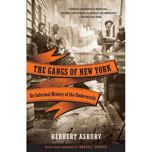 The Gangs of New York: An Informal History of the Underworld - Paperback