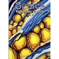 SCALES - Formations of Pitch - Paperback
