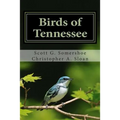 Birds of Tennessee: A New Annotated Checklist - Paperback