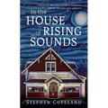 In the House of Rising Sounds: A Boisterous Music Bar, a Faith in Transition, and the Thin Space They Inhabited - Paperback