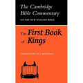The First Book of Kings - Paperback