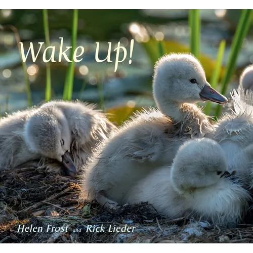 Wake Up! - Hardcover