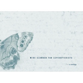 Wide Slumber for Lepidopterists - Paperback