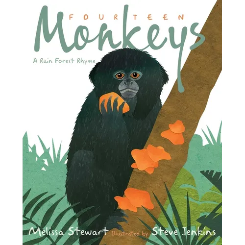 Fourteen Monkeys: A Rain Forest Rhyme - Hardcover